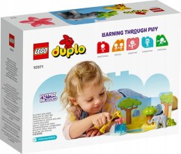 LEGO 10971 Duplo - Dzikie zwierzęta Afryki