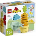 LEGO 10981 Duplo - Rosnąca marchewka