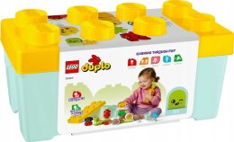 LEGO 10984 Duplo - Ogród uprawowy