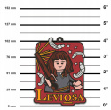 LEGO 53241 - Magnes - Harry Potter: Hermiona Granger - Leviosa