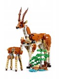 LEGO 31150 Creator 3w1 - Dzikie zwierzęta z safari