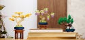 LEGO 10373 Botanical Collection - Małe drzewka Bonsai