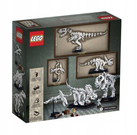 LEGO 21320 IDEAS - Szkielety dinozaurów LEGO 21320 IDEAS - Szkielety dinozaurów